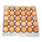 싯가특란 계란